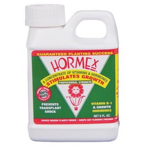 Hormex Concentrate