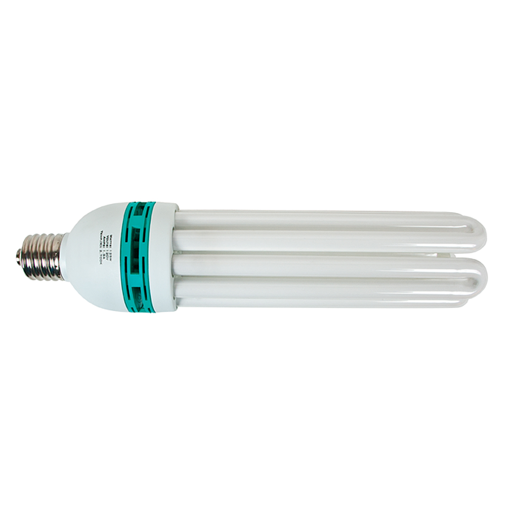 Compact Fluorescent (CFL) Lamps