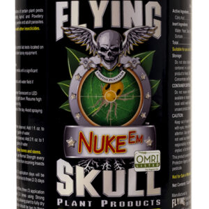 Flying Skull Nuke Em