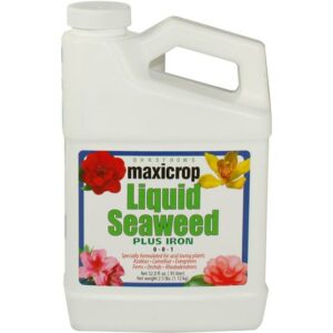 Maxicrop Liquid Seaweed  Plus Iron